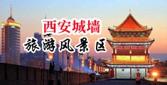 我和骚浪空姐房东的激情视频中国陕西-西安城墙旅游风景区
